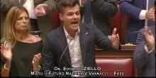Preferenze, Ziello (Fn): 'Affossate da Lega e Fi'