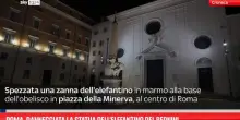 Roma, danneggiata la statua dell'elefantino del Bernini