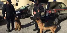 Sorelle scomparse, l'appello della mamma: 'Tornate, tutto si sistema'