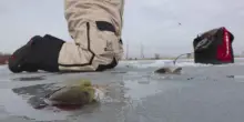 Wisconsin, il climate change colpisce la pesca sul ghiaccio