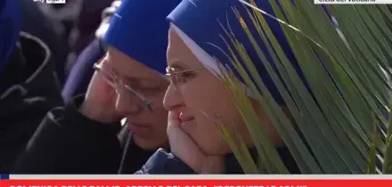 Domenica delle Palme, appello del Papa: 'Deponete le armi'
