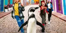 Paul, il pinguino da salvare: ecco una clip esclusiva del film