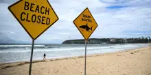 Australia, uomo di origini valtellinesi ucciso da uno squalo