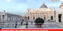 Vaticano, installato albero di Natale in Piazza San Pietro