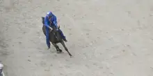 Palio di Siena, migliorano le condizioni di Tittia dopo la caduta