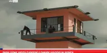 Papa Leone visita carcere e chiude viaggio in Africa