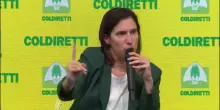 Scontri, Schlein: Repressione non basta, ricercare cause