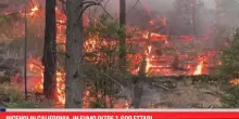 Incendi in California, in fumo oltre 1.600 ettari