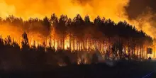Incendi in Spagna e Francia, oltre 220mila evacuati. FOTO