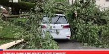 Slovenia, danni per forti tempeste