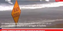 Sydney, surfista muore dopo l’attacco di uno squalo