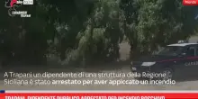 Trapani, dipendente pubblico arrestato per incendio boschivo
