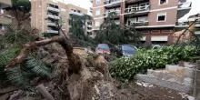 Tromba d'aria a Roma, Gualtieri: 'Presenteremo richiesta di calamit&agrave;'