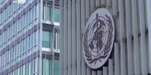 Hantavirus, Oms 11 casi accertati tra cui i tre decessi