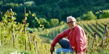 Bruno Barbieri 4 Hotel, chi ha vinto la puntata nel Monferrato. FOTO