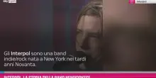 Interpol, la carriera