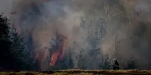 Usa, incendio minaccia Reno in Nevada: oltre 40 mila persone evacuate