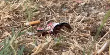 Omicidio Trani, 18enne muore accoltellato