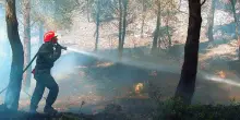 Francia, incendio sui Pirenei: 3mila persone evacuate dai camping