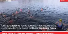 Praga, la tradizionale nuotata nel fiume Moldava