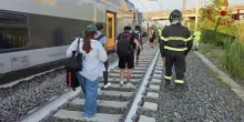 Roma, treno investe due mucche e deraglia: paura a Montelibretti