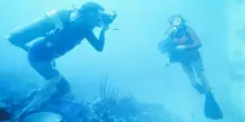 Mare, quanti sono e quanto spendono i subacquei italiani?