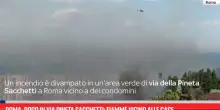 Roma, incendio di un'area verde in via Pineta Sacchetti