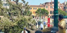 Venezia, cade albero su turisti: ci sono feriti