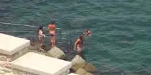 Ancona, il CNR: mare troppo caldo e specie aliene