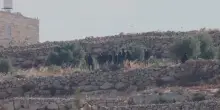 Coloni in Cisgiordania: oltre 300 le comunit&agrave; israeliane civili nei territori occupati