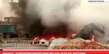 Francia, agricoltori protestano per malattie del bestiame