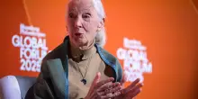 Morta a 91 anni la celebre etologa Jane Goodall