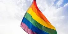 Giornata contro l'omofobia: i dati della lotta alla discriminazione