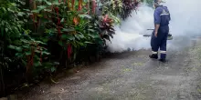 Grave epidemia di dengue in Sri Lanka, oltre 44mila casi