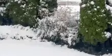 Prima neve a Bergamo, problemi alla circolazione dei treni. VIDEO