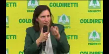 Scontri Milano, Schlein: 'Crosetto riferisca su guerra ibrida'