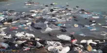 Migranti Ceuta, bilancio dei morti si aggrava