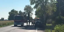 Auto contro platano in provincia di Udine, morta anche bimba di 4 anni