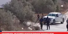 Cisgiordania, palestinesi attaccati durante raccolta olive