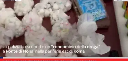 Roma, cane poliziotto scopre 'condominio della droga'