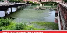 Torino, il caldo record fa riempire il Po di alghe