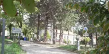 Famiglia nel bosco, da Tribunale Minori ok a ricongiungimento progressivo