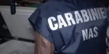 Brescia, bimbo circonciso su tavolo cucina in casa: denunciato medico