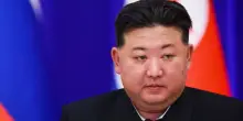 Nord Corea, rimedi anti-caldo di Kim: zuppa di cane e brodo di ginseng