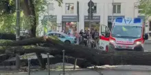 Albero caduto a Milano in Piazza Risorgimento: tre feriti