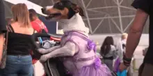 Amici a 4 zampe, torna la fiera dedicata al mondo del pet