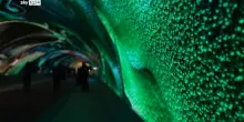 Dag a Gorizia inaugura con Data Tunnel, opera di Refik Anadol