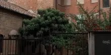 Omicidio Tortona, bimba di 3 anni morta in casa: fermata la madre