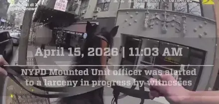 Manhattan, agente a cavallo rincorre e arresta una ladra