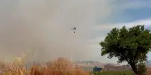 Incendio nel Trapanese, le immagini del rogo
